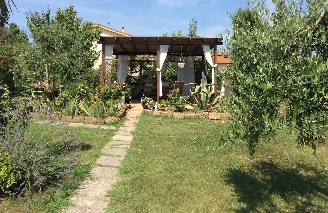 I Girasoli di Migliarino-1