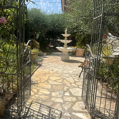 I Girasoli di Migliarino-2